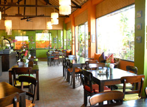 カッツキッチン3