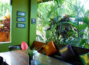 カッツキッチン4