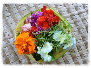 トレジャーアイランド3