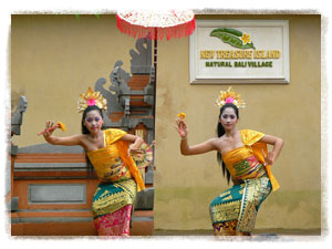 トレジャーアイランド4