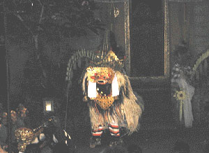 パンチャ アルタ1