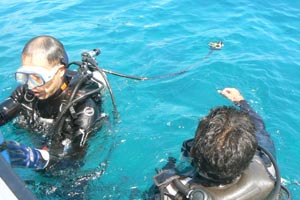 レンボガン＆ヌサペニダ島3