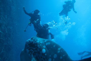 レンボガン＆ヌサペニダ島7
