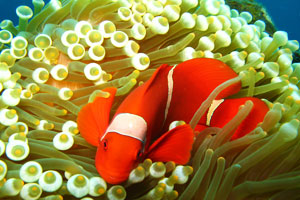 トゥランベンエリア5