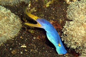 バリビューダイブセンター4