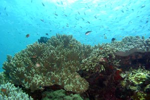 バリビューダイブセンター5