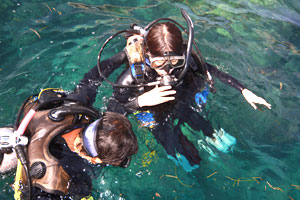 バリビューダイブ