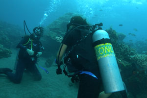 ブルーシーズンバリ2