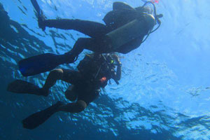 ブルーシーズンバリ3