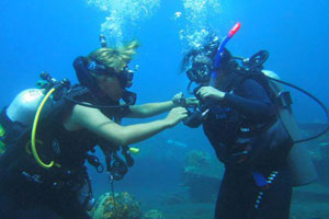 ブルーシーズンバリ4