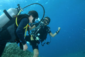 ブルーシーズンバリ5