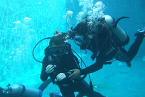 ダイブダイブダイブバリ2