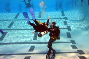 ダイブダイブダイブバリ2