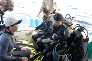 ダイブダイブダイブバリ4