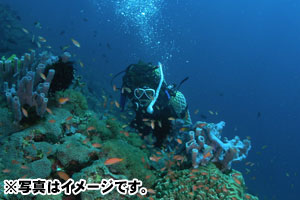 バトゥアバ（ヌサ・ペニダ東部）2