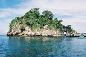 エナダイブセンター2