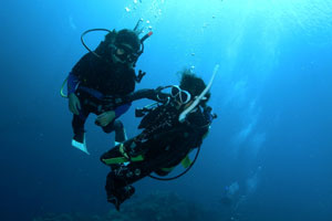 エナダイブセンター5