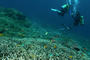 エナダイブセンター6