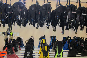 エナダイブセンター2