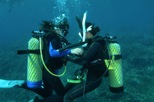 エナダイブセンター3