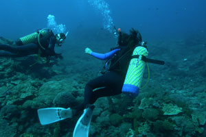 エナダイブセンター4