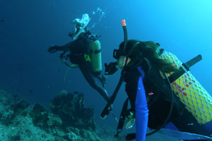 エナダイブセンター6