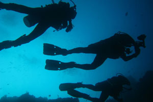 ノーチラスダイビングバリ1