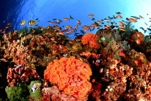 オンバックビル7