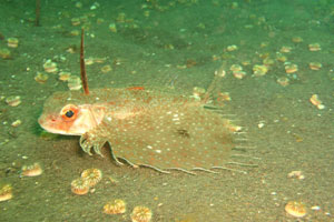 シークレットベイ2