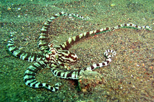 シークレットベイ4