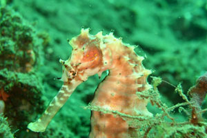 シークレットベイ3