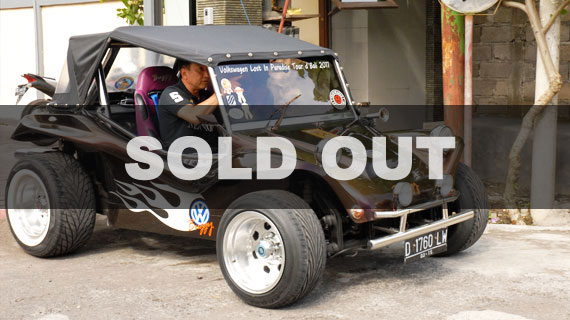 BUGGY　(カメレオン）