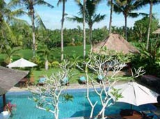 スイミングプール1