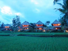 スーペリアバンガロー