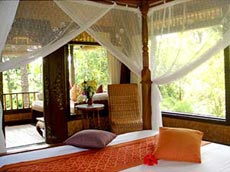 ランブータンスイート4