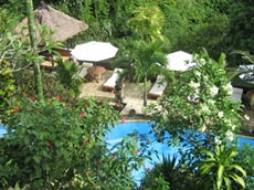 スイミングプール