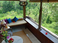 デラックスバレービュー3