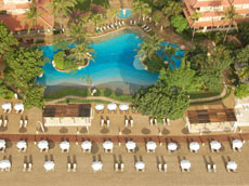 空中からの様子