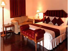 デラックス　ガーデンビュー