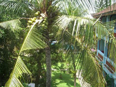 部屋からの景色