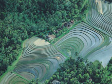 ホテル周辺の景色