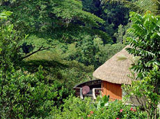 デラックス スパヴィラ