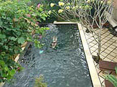 Villa Pratiwi　プール