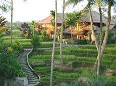 デュプレックス・ヴィラ（全5練）