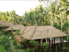 カユマニススパ