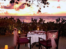 ロマンティック　ディナー