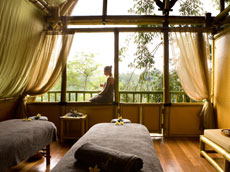 マンゴーツリースパ