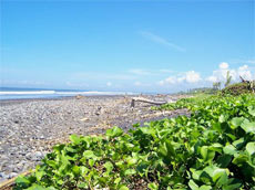 マデウィビーチ