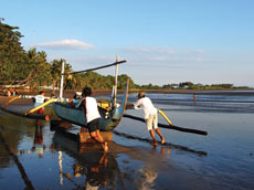 マデウィビーチ
