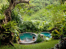 プライベートプール